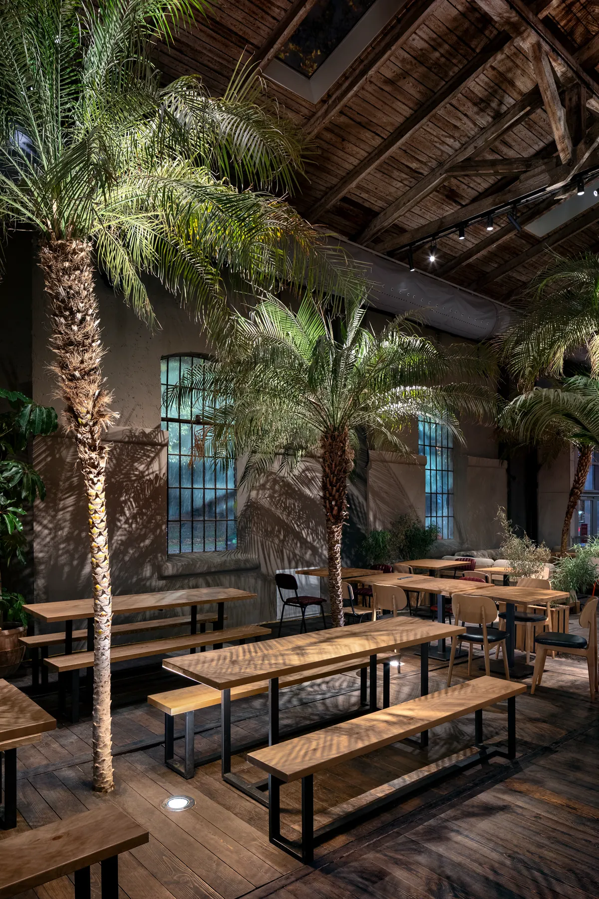 Vertical evening seating scene with planting and warm exterior lighting.